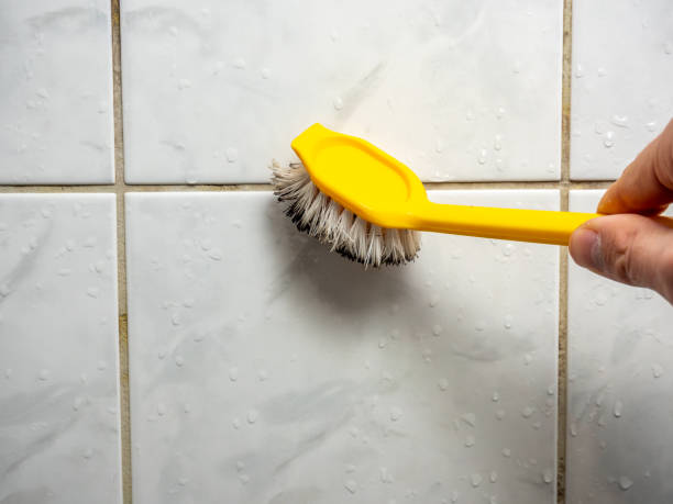 Best Fast Mold Removal  in Linden, CA