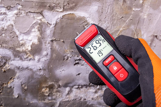 Best Residential Mold Removal  in Linden, CA
