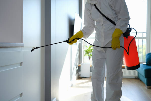 Best Home Mold Removal  in Linden, CA