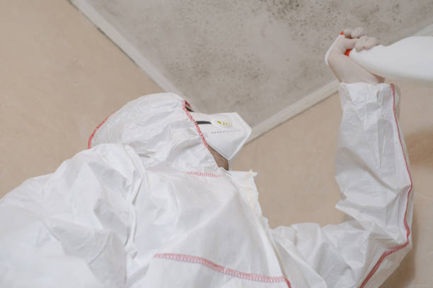 Best Mold Inspection  in Linden, CA