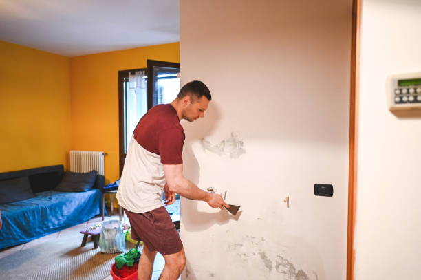 Best Local Mold Removal Service  in Linden, CA