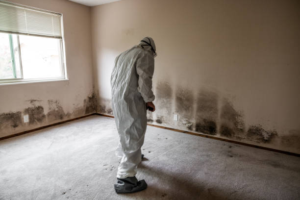 Best Crawl Space Mold Removal  in Linden, CA