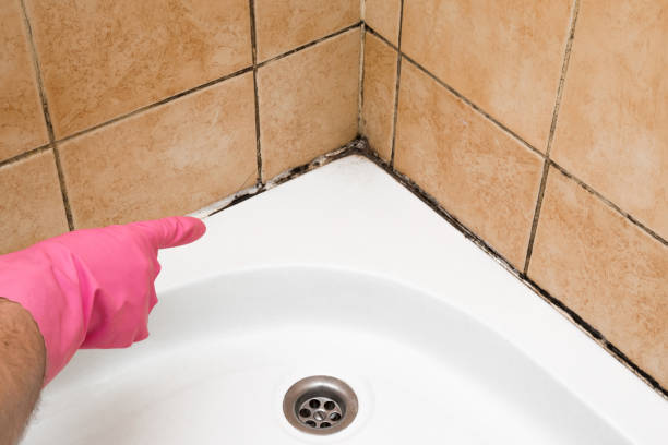 Best Office Mold Removal Services  in Linden, CA